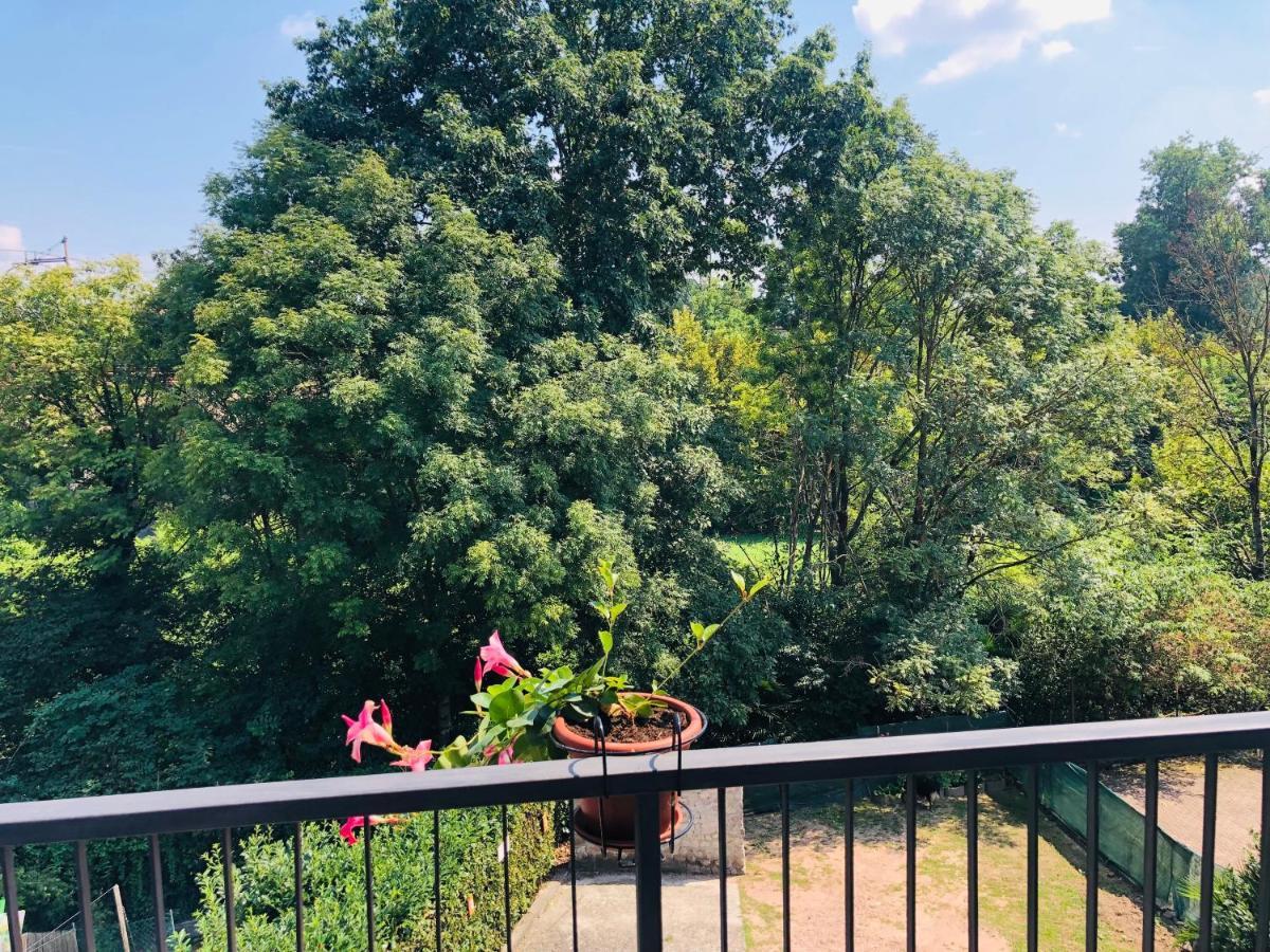 Casa Nonna Elide 2 Daire Besozzo Dış mekan fotoğraf